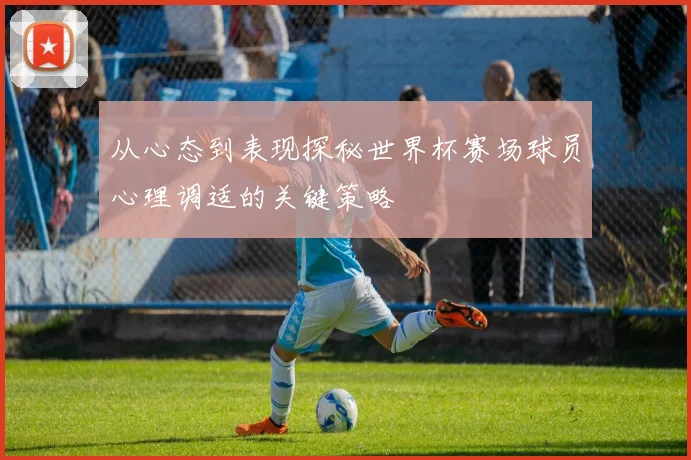 从心态到表现探秘世界杯赛场球员心理调适的关键策略