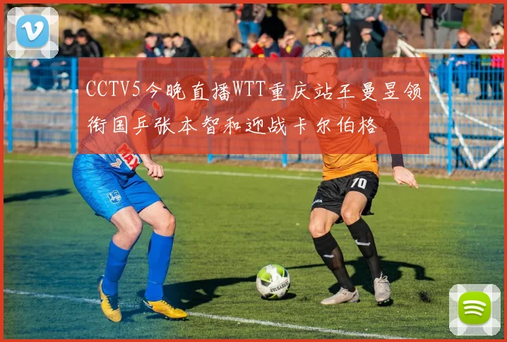 CCTV5今晚直播WTT重庆站王曼昱领衔国乒张本智和迎战卡尔伯格