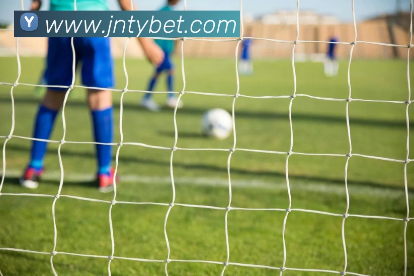 江南体育APP 封面图